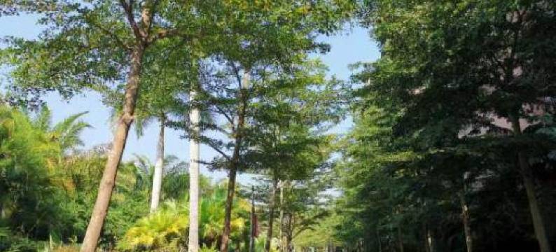 五指山且行且栖民宿图片