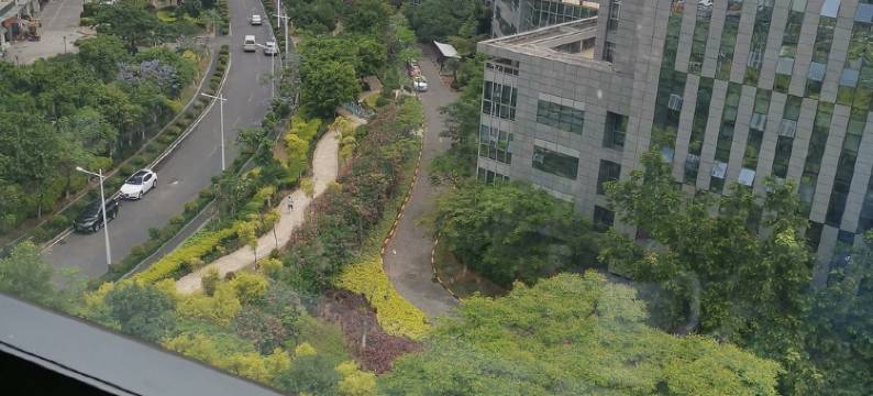 康丽云公寓(安岭路分店)图片