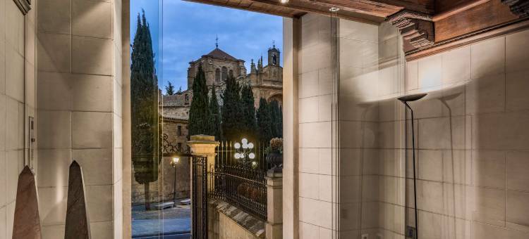 萨拉曼卡卡斯泰拉诺斯宫NH典藏酒店(NH Collection Salamanca Palacio de Castellanos)图片
