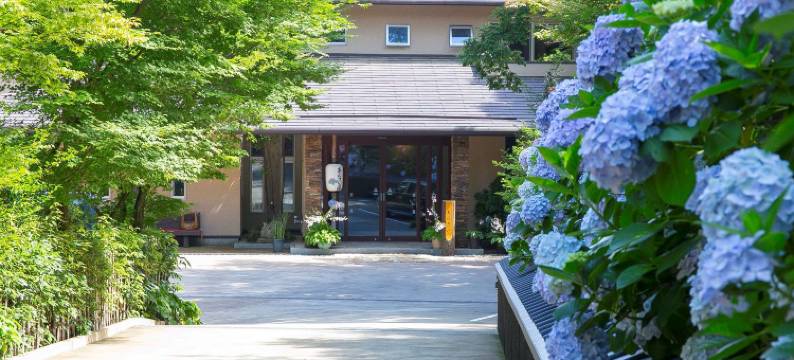 海洋露台绣球花(Ocean Terrace Ajisai)图片