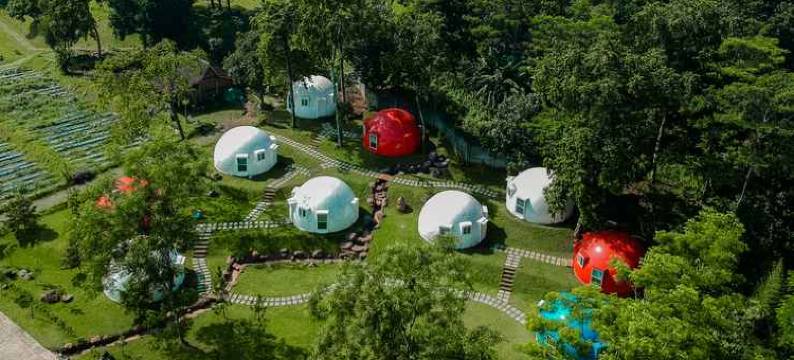 K画廊酒店(K Gallery Hotel)图片