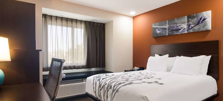 舒眠酒店(Sleep Inn)图片
