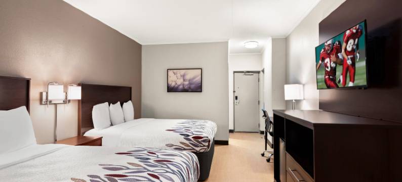 诺里奇红顶酒店(Red Roof Inn Norwich)图片