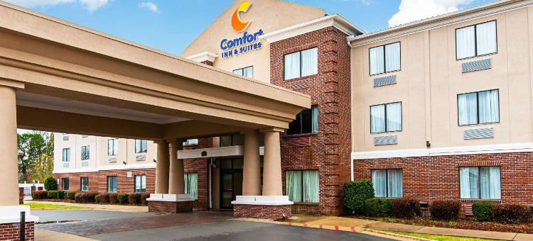 派恩布鲁夫舒适套房酒店(Comfort Inn & Suites Pine Bluff)图片