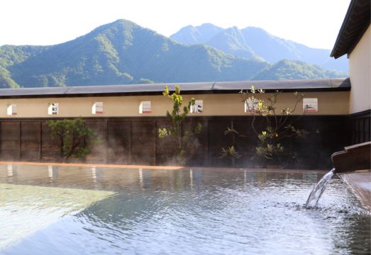 Echigo No Oyado InamotoHotel Overview