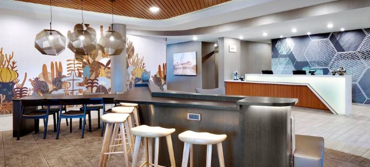 北斯科特斯德万豪SpringHill酒店(SpringHill Suites Scottsdale North)图片