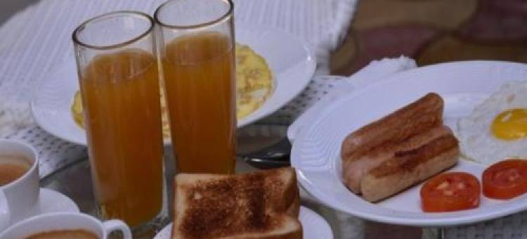 缤旅迪帕里行政酒店(Hotel Deepali Executive)图片