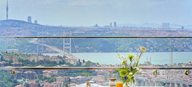 伊斯坦布尔莱佛士酒店(Raffles Istanbul)图片