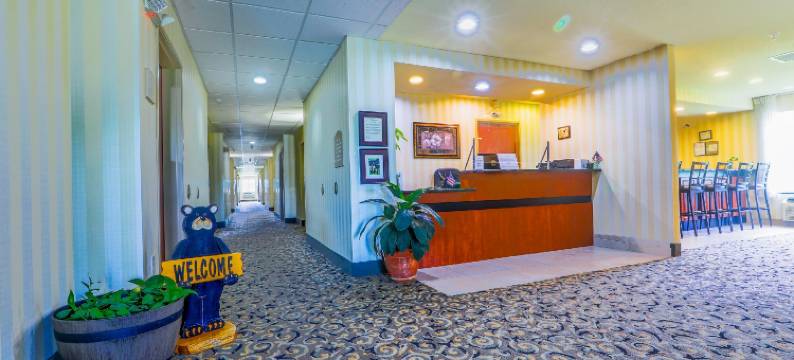 OYO的埃文斯维尔酒店和套房(Evansville Inn & Suites by OYO)图片