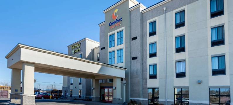 舒适套房酒店-近丹佛市区(Comfort Suites Near Denver Downtown)图片