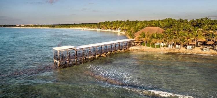埃尔多拉多海滨棕榈树，双体船，天然水池等全包含(El Dorado Seaside Palms, Catamarán, Cenote & More Inclusive)图片