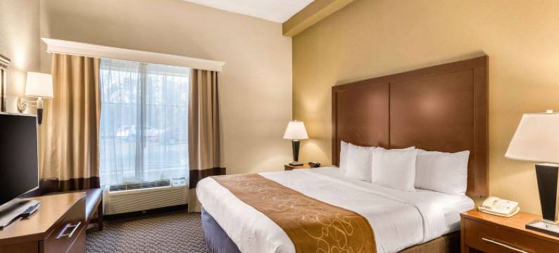 哥伦比亚门户舒适套房酒店(Comfort Suites Columbia Gateway)图片