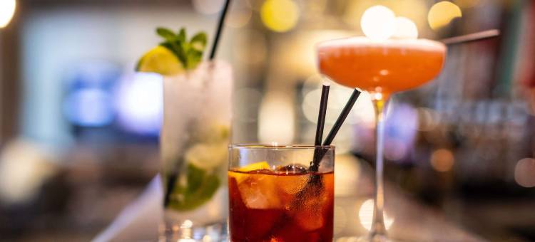 巴黎沙朗通勒蓬诺富特酒店(Novotel Paris Charenton le Pont)图片