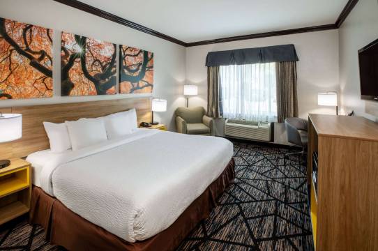 巴吞鲁日温德姆戴斯酒店/I-10(Days Inn by Wyndham Baton Rouge/I-10)