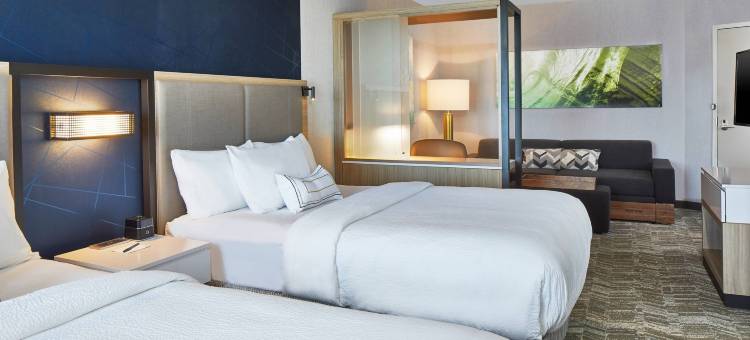 夏洛特卡罗温兹万豪SpringHill Suites酒店(SpringHill Suites Charlotte at Carowinds)图片