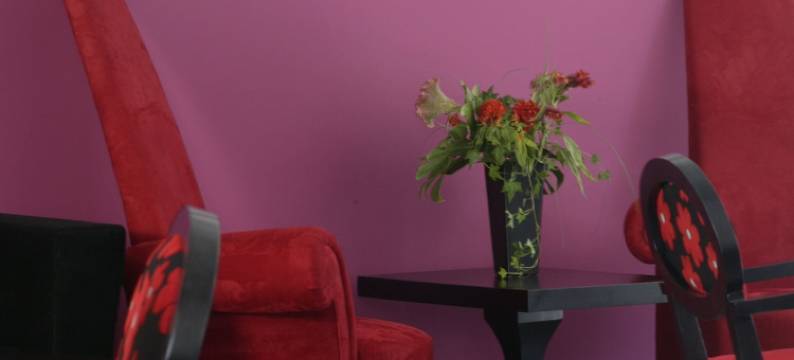 安娜西斯酒店(Anessis)图片