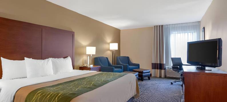 舒适酒店(Comfort Inn Charlotte)图片