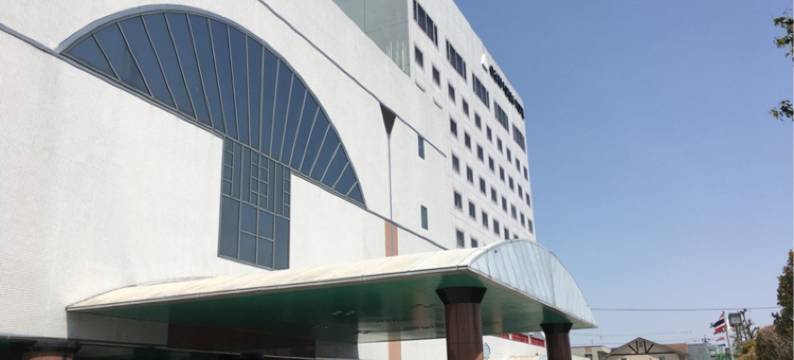 大垣论坛酒店(Ogaki Forum Hotel)图片