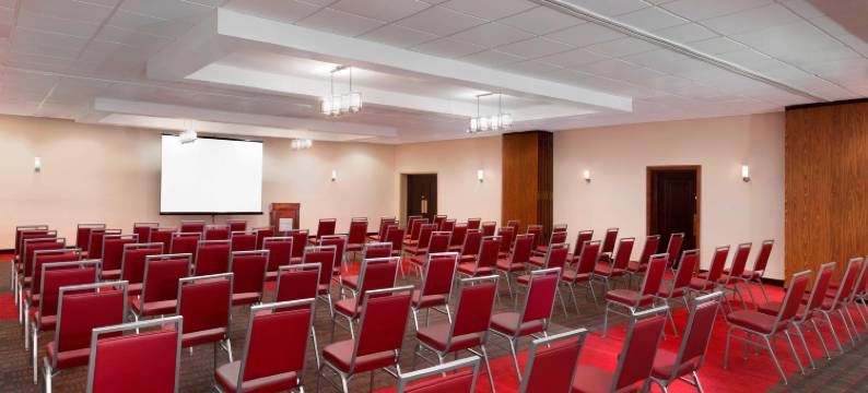 阿什维尔市中心福朋喜来登酒店(Four Points by Sheraton Asheville Downtown)图片