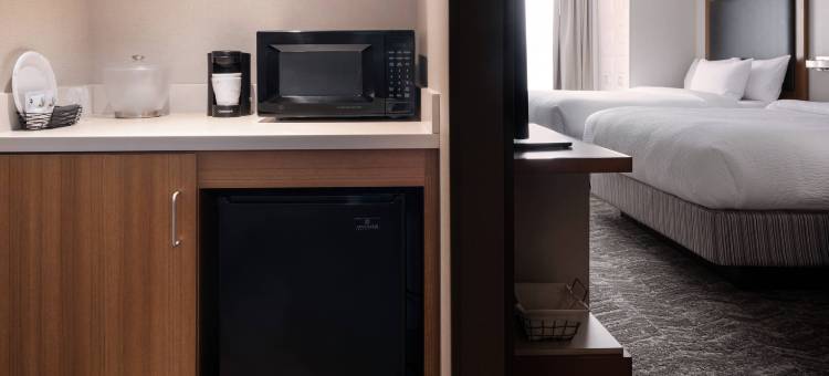 锡拉丘兹卡里尔环岛万豪SpringHill酒店(SpringHill Suites Syracuse Carrier Circle)图片
