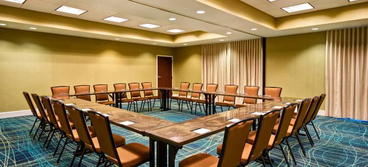 巴尔的摩华盛顿国际机场 SpringHill Suites 酒店(SpringHill Suites Baltimore BWI Airport)图片
