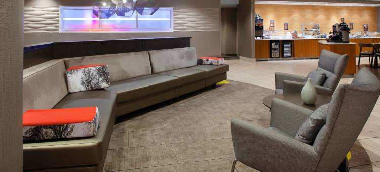 辛辛那提北部/福里斯特帕克 SpringHill Suites酒店(SpringHill Suites Cincinnati North/Forest Park)图片