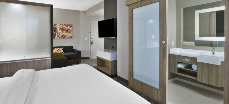 查塔努加北奥特华SpringHill Suites酒店(SpringHill Suites Chattanooga North/Ooltewah)图片