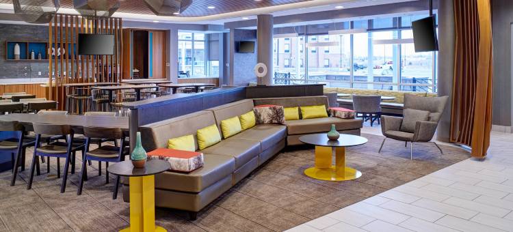 底特律威克森万豪SpringHill Suites酒店(SpringHill Suites by Marriott Wixom Novi)图片