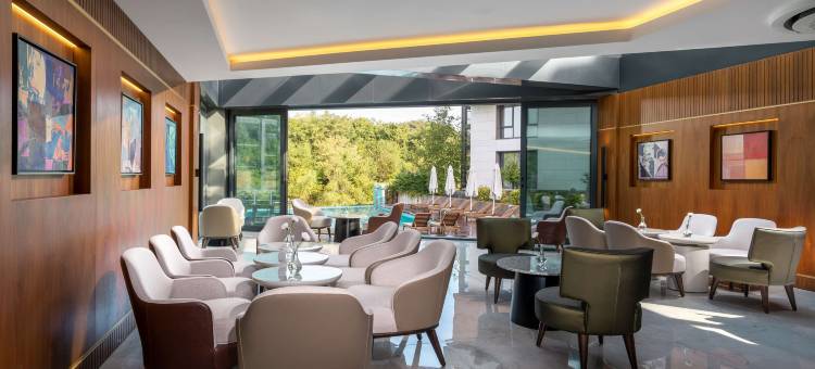 伊斯坦布尔机场丽柏酒店(Park Inn by Radisson Istanbul Airport, Odayeri)图片