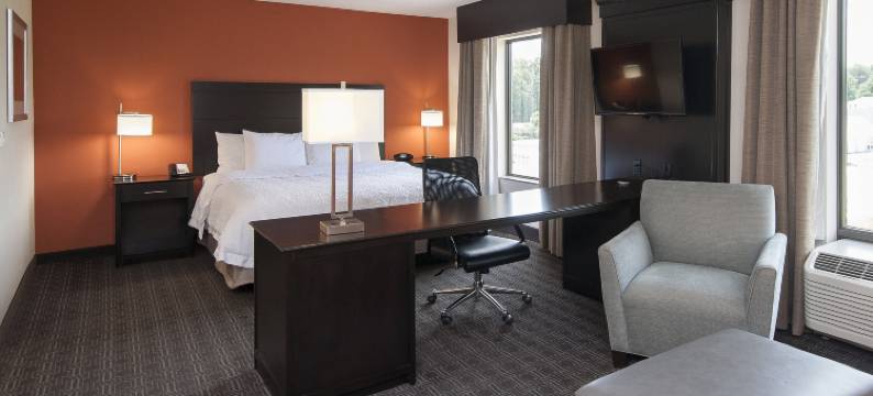 塞内卡-克莱姆森区欢朋酒店及套房(Hampton Inn & Suites Seneca-Clemson Area)图片