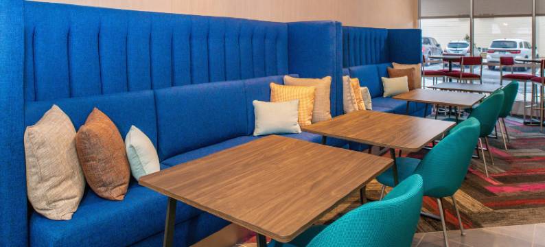 印地安那州埃尔克哈特希尔顿特鲁酒店(Tru by Hilton Elkhart)图片