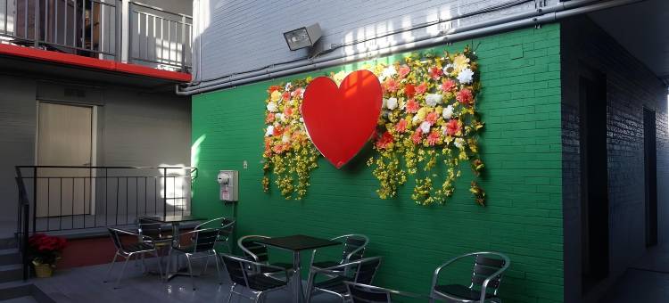 Travelodge by Wyndham Orlando / Heart of International Drive图片