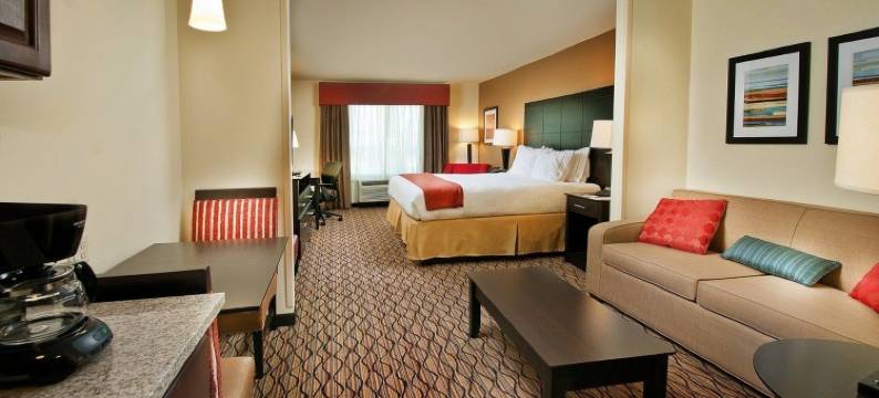 皮索尔洲际智选假日套房酒店(Holiday Inn Express & Suites PEARSALL by IHG)图片
