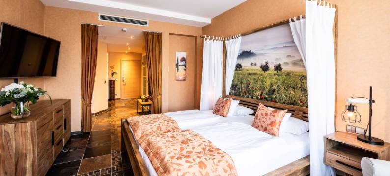 魏塞巴尔酒店(Hotel Weisser Bär)图片