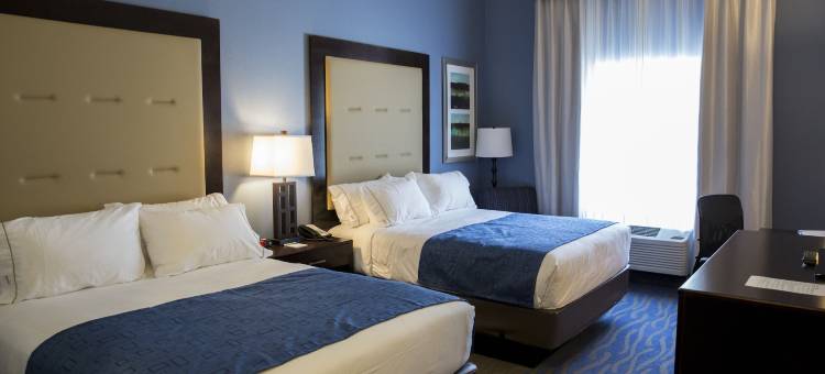 爱德华兹维尔智选假日套房酒店(Holiday Inn Express & Suites EDWARDSVILLE by IHG)图片