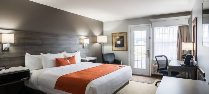阿姆斯特丹蒙克顿套房酒店(Amsterdam Inn & Suites Moncton)图片