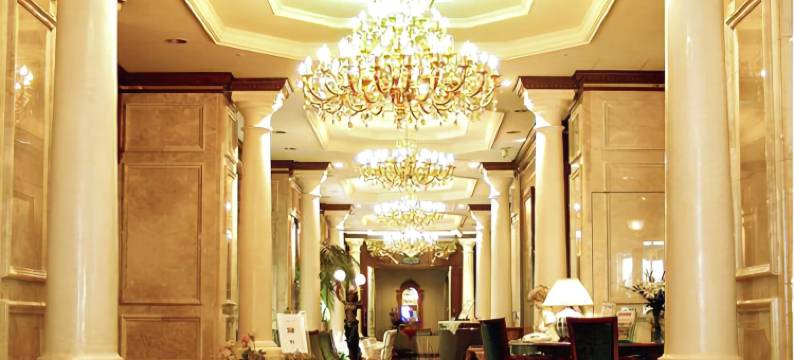 广岛格兰智慧酒店(Hiroshima Grand Intelligent Hotel)图片