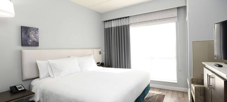 希尔顿花园酒店-杰克森维尔(Hilton Garden Inn Jacksonville)图片