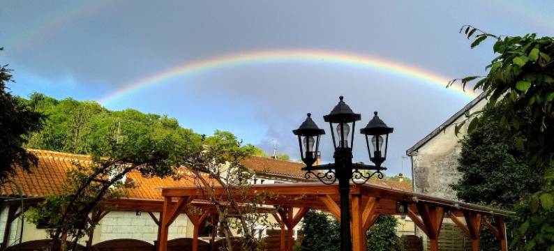 勃朗特姆酒店时光之园餐厅(Le Jardin des Chouchoux)图片