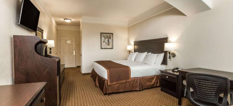 加尔维斯顿温德姆呗盟酒店(Baymont by Wyndham Galveston)图片