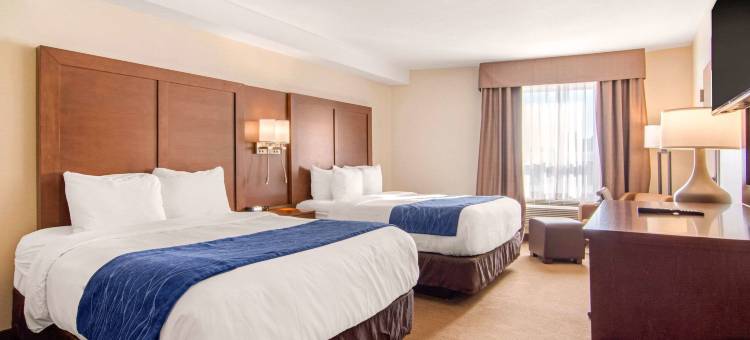 梅迪辛哈特舒适套房酒店(Comfort Inn & Suites)图片