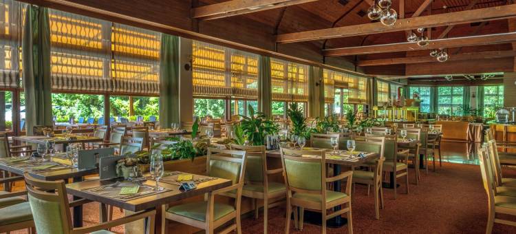 恩萨纳温泉沙尔堡酒店(Ensana Thermal Sárvár)图片