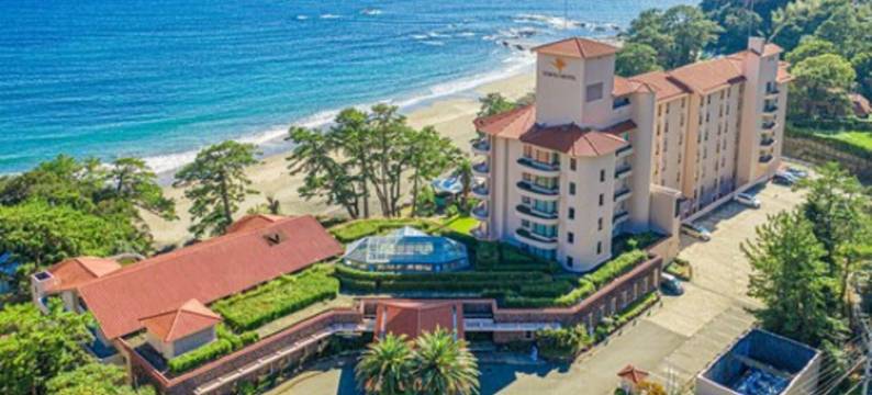 伊豆今井滨东急酒店(Izu Imaihama Tokyu Hotel)图片