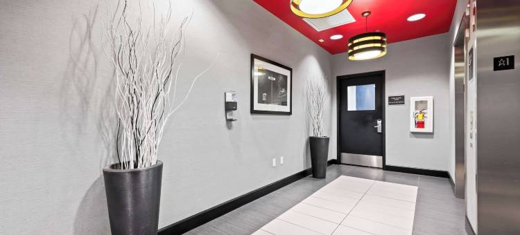 威廉斯堡历史区舒适套房酒店(Comfort Suites Williamsburg Historic Area)图片