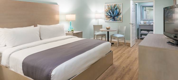 棕榈海滨酒店(The Palms Oceanfront Hotel)图片