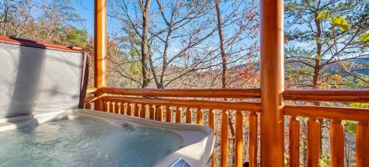 精致度假屋 室内泳池影院(Paradise Pointe Pool Lodge by Beyond Expectations)图片