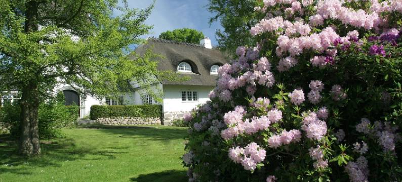 布鲁普加德克伦威尔酒店(Comwell Borupgaard)图片