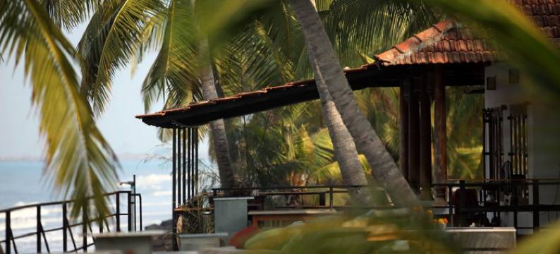 36颗棕榈精品度假村(36 Palms Boutique Retreat)图片