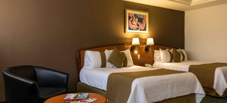 米西翁特雷欧中心酒店(Mision Toreo Centro de Convenciones)图片