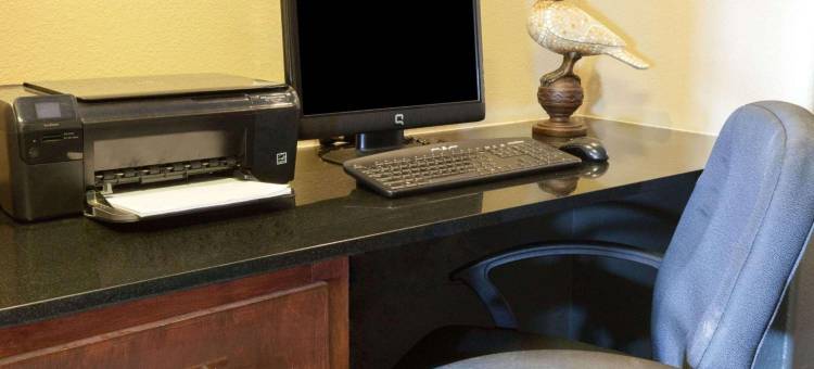 孤星旅馆及套房(Lone Star Inn & Suites)图片